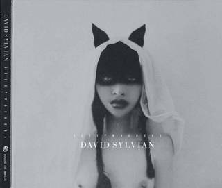 David Sylvian «Sleepwalkers» CD, Samadhi Sound, SS020