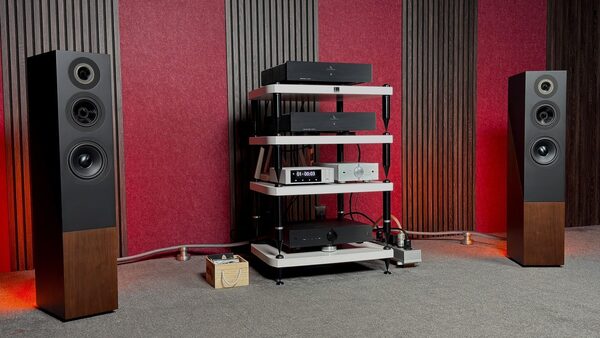 Davis Acoustics The Pledge: форма и содержание