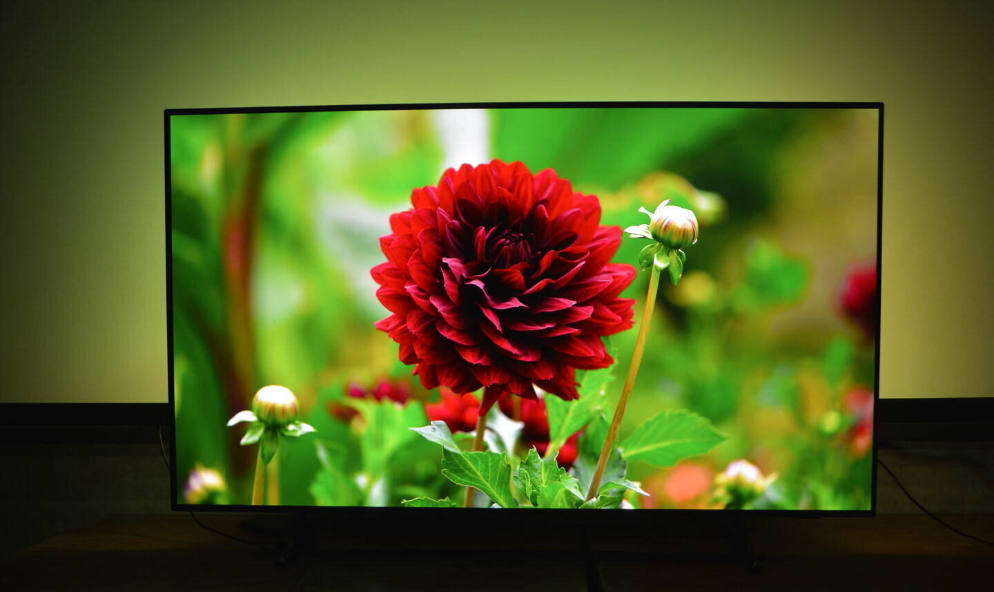 Тест телевизора Philips 55OLED805: нужен ли OLED-у Ambilight?