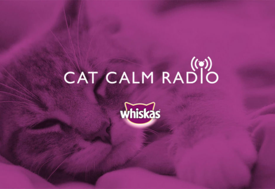 Whiskas и BBDO создали радио с успокаивающими кошек звуками