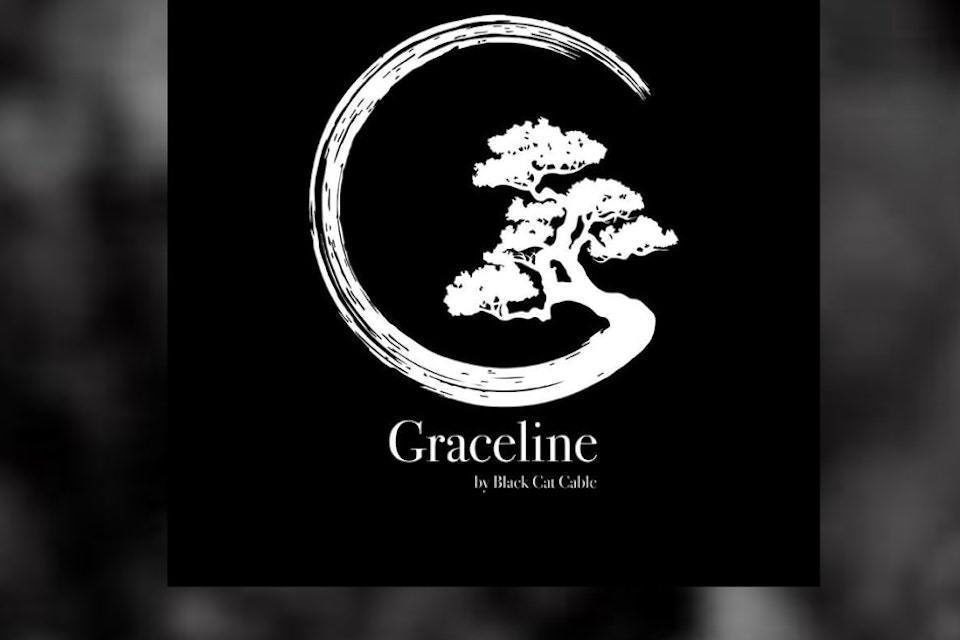 Black Cat Cable анонсировала аудиокабели Graceline в архитектуре Setsuna