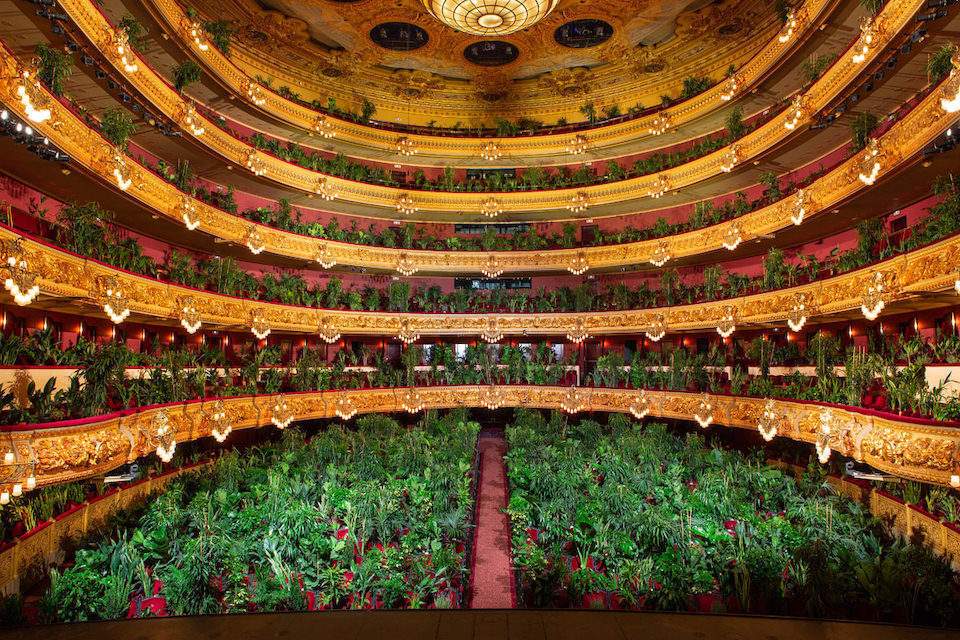 Открытие барселонской оперы El Liceu: антикоронавирусный аншлаг без зрителей