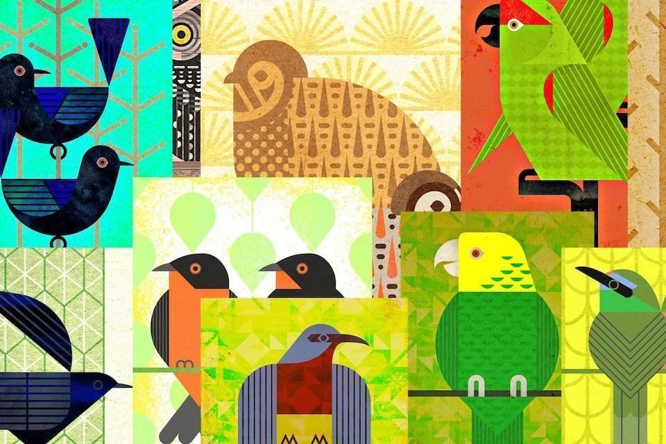 «A Guide to the Birdsong of Mexico, Central America and the Caribbean»: электронный альбом с сэмплами голосов редких птиц