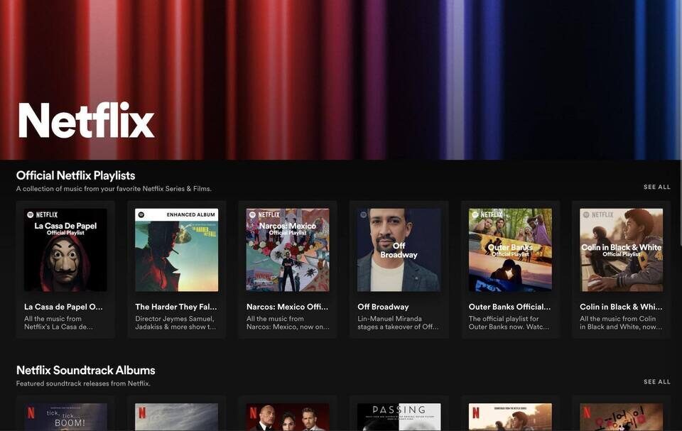 В Spotify появился хаб Netflix